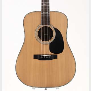 アコースティックギター／エレクトリック・アコースティックギター