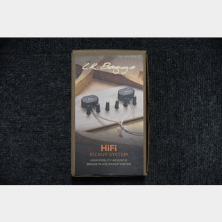L.R.Baggs HiFi