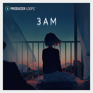 PRODUCER LOOPS 3AM