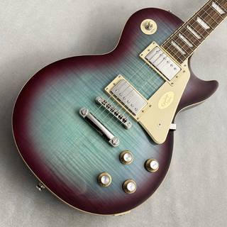 エレクトリックギター、Epiphone Les Paul standardの検索結果
