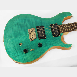 Paul Reed Smith(PRS)SE Custom 24-08  (Turquoise)