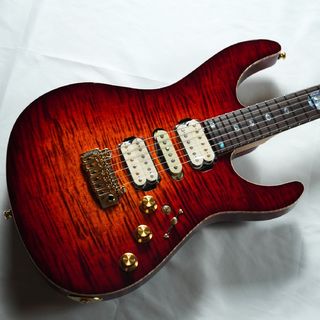 FREEDOM CUSTOM GUITAR RESEARCH Hydra 24F -紅葉Burst- Special Inray＆New Color