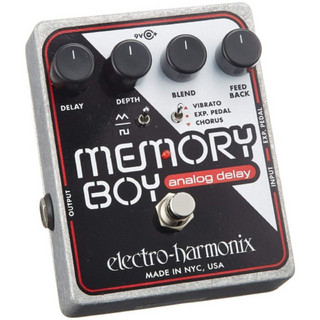 Electro-Harmonix Memory Boy 