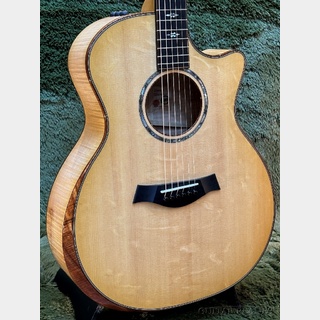 テイラーソリッドボディTaylor solidbody custom 超レア