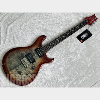 Paul Reed Smith(PRS) SE Custom 24 (Chacoal Cherry Burst)