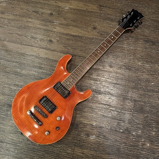 Chatting Bird CWC PRS Shape Electric Guitar エレキギター