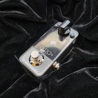 tc electronic DITTO+ Looper ルーパー DITTO Plus