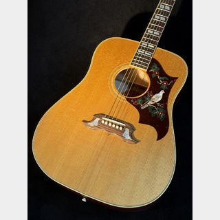 アコースティックギター、Gibson、Gibson Custom Shop、Doveの検索結果
