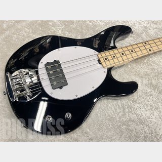 Sterling by MUSIC MAN Intro Series Ray2【Black】