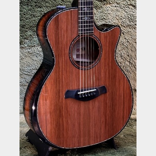 Taylor 【Taylor選定品‼】Builders Edition 914ce -Honduran Rosewood- #1205154019【48回迄金利0%対象】