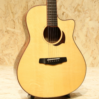 Yokoyama Guitars AR-GC