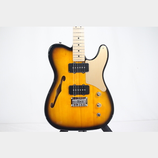 Squier by Fender PARANORMAL TELE THINLINE