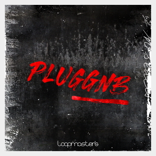 LOOPMASTERS PLUGGNB