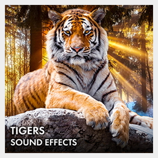 SOUND IDEAS TIGERS SOUND EFFECTS