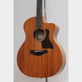 Taylor 24ce【はじめての方におすすめ!】