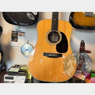 アコースティックギター／エレクトリック・アコースティックギター