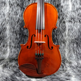 ENA Violin No.20AJ SET