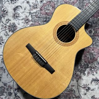 Taylor NS42-CE