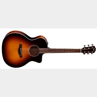 アコースティックギター／エレクトリック・アコースティックギター