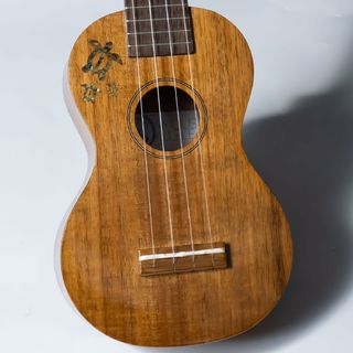 Famous FS-5G/HOAV 【現物画像】