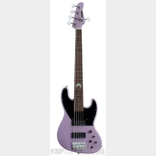 エレクトリック・ベース ＞ JBタイプ、SCHECTERの検索結果【楽器