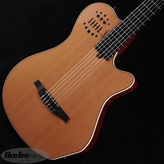 Godin Multiac Nylon Sa 製品レビュー デジマート マガジン