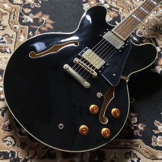 Epiphone SheratonII