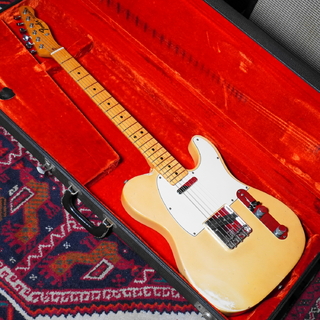 エレクトリックギター ＞ TLタイプ、Fender、Telecasterの検索結果