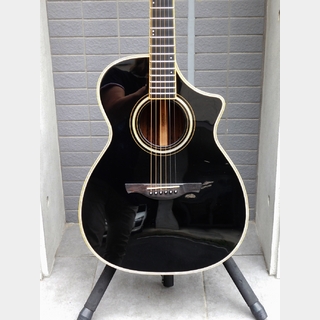 アコースティックギター／エレクトリック・アコースティックギター