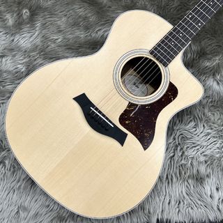 Taylor214ce Rosewood