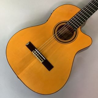 ALBERTO CANTO ALBERTO CANTO Cutaway Thinline