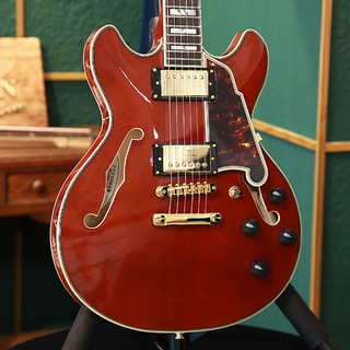 D'Angelico 【アウトレットセール】【ストラッププレゼントキャンペーン】Excel Mini DC, Viola