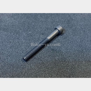 Steinberger Face Plate用 / Socket Head Cap Screw for GL / Black