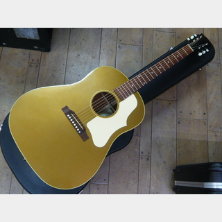 エレクトリック・アコースティックギター ＞ 一般の検索結果【楽器検索