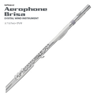 Roland AEROPHONE AE-BRISA エアロフォンブリサ デジタル管楽器 ウインドシンセ 《予約注文/11月21日発売開始》