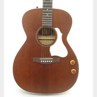 アコースティックギター／エレクトリック・アコースティックギター