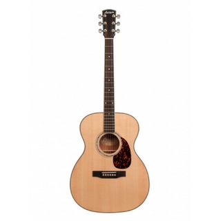 Larriveeラリビー OM-05 MH Select Series アコースティックギター