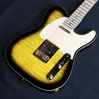 Fender Japan Exclusive Richie Kotzen Telecaster Brown Sunburst 【横浜店】