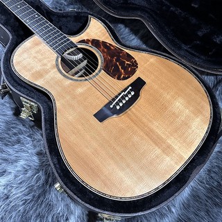 Takamine 700 Custom