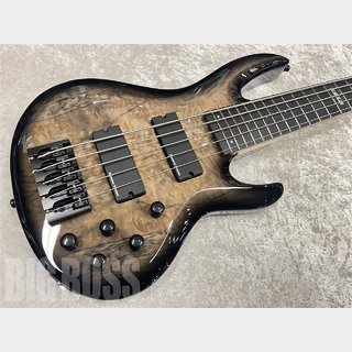 E-II BTL-5【Black Natural Burst】