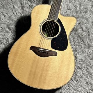 アコースティックギター／エレクトリック・アコースティックギター