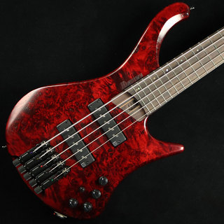 Ibanez EHB1505 Stained Wine Red Low Gloss　S/N：I231204709 【ヘッドレスベース】【５弦】 【未展示品】