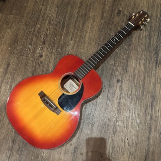 Takamine G440SJ-CS G Series Acoustic Guitar