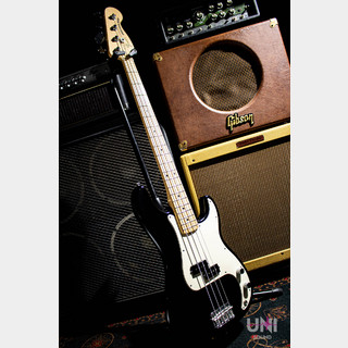 Fender American Special Precision Bass / 2010
