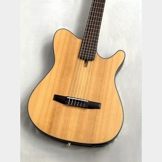 エレガットギターの検索結果【楽器検索デジマート】