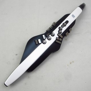 Roland AE-20 Aerophone エアロフォン 【横浜店】
