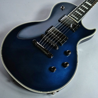 SCHECTERの検索結果【楽器検索デジマート】