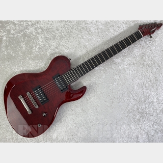 EDWARDS E-DR-II-7