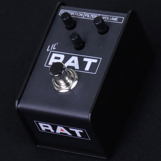 今日だけ値下げ Proco LIL' RAT Pro-co】あのRATが小さくなって登場！LIL' RATいよいよ発売