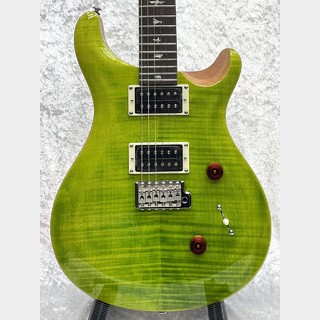 Paul Reed Smith(PRS) SE Custom 24 -Eriza Verde-【CTI G005749】【3.46kg】